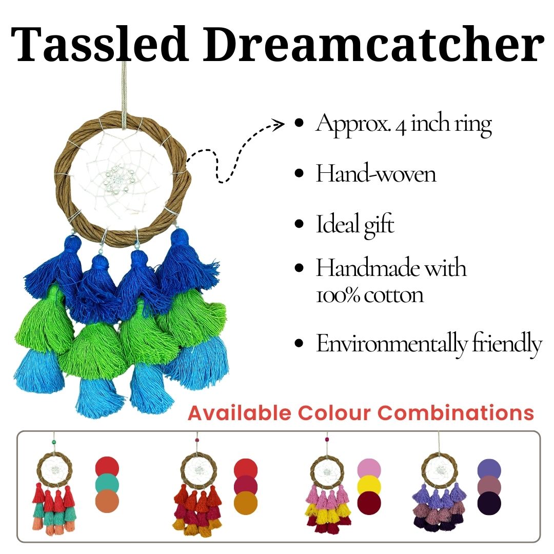 Tassled Dreamcatcher || Multicolor